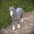 Šírsky kôň - socha podľa fotografie